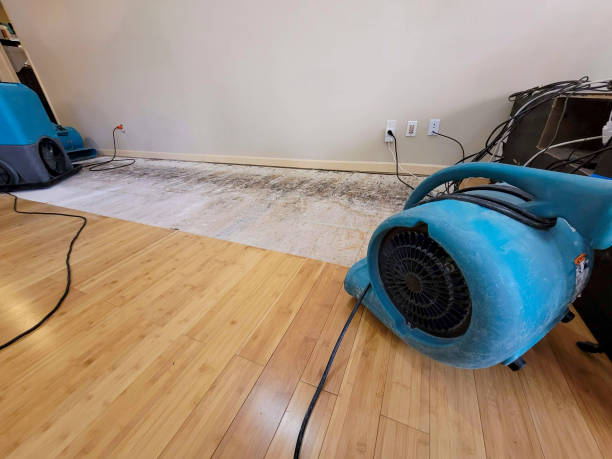 Professional Basement Flood Cleanup technician working in Manhattan, NY